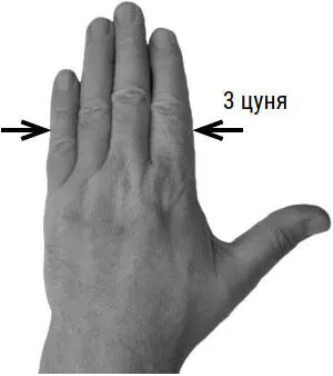 Здоровье сердечнососудистой системы Атлас целительных точек Упражнения и приемы восточной медицины - изображение 6
