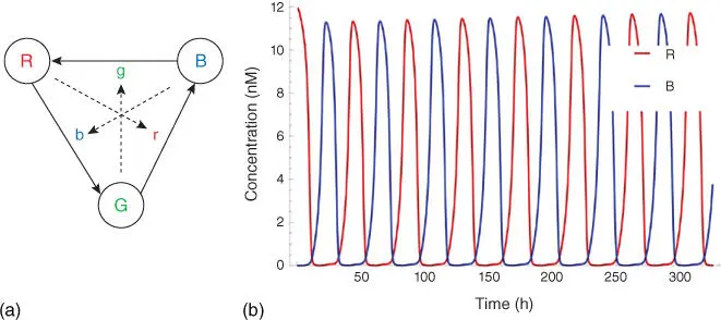 Figure 36a Sequence of reactions for the threephase clock based on the RGB - фото 81