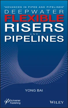 Yong Bai Deepwater Flexible Risers and Pipelines обложка книги