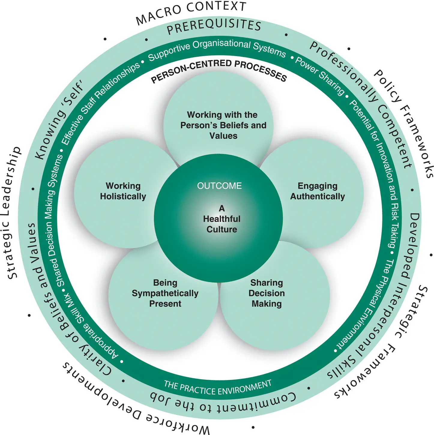Figure 31 Personcentred Practice Framework The practice environment The - фото 3