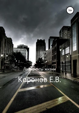 Евгений Коронов Лабиринты жизни обложка книги