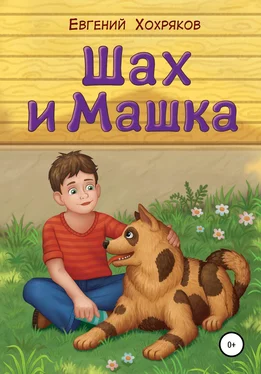 Евгений Хохряков Шах и Машка обложка книги