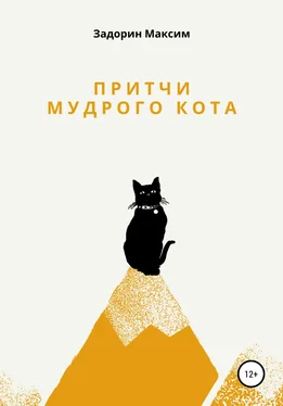 Максим Задорин Притчи мудрого кота обложка книги