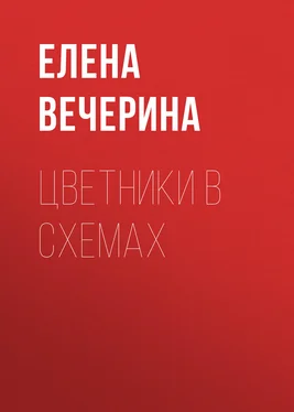 Елена Вечерина Цветники в схемах обложка книги