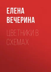 Елена Вечерина - Цветники в схемах