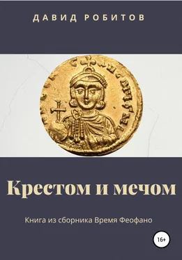 Давид Робитов Крестом и мечом обложка книги