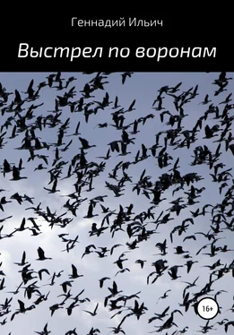 Геннадий Ильич Выстрел по воронам обложка книги