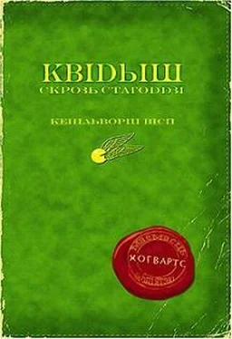 Джаан Роўлінг Квідытч скрозь стагоддзі обложка книги