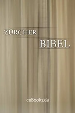 Ulrich Zwingli Zürcher Bibel обложка книги