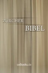 Ulrich Zwingli - Zürcher Bibel