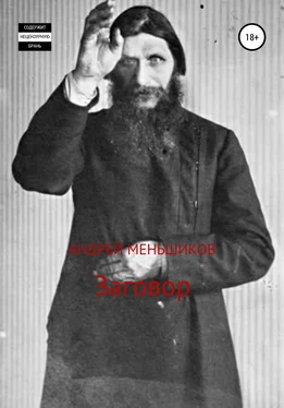 Андрей Меньшиков Заговор обложка книги