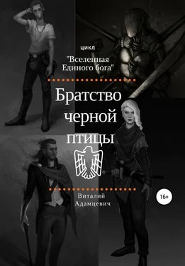 Виталий Адамцевич Братство Чёрной Птицы обложка книги