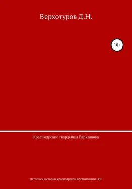 Дмитрий Верхотуров Красноярские гвардейцы Баркашова обложка книги