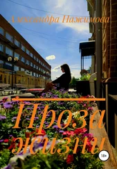 Александра Нажимова - Проза жизни