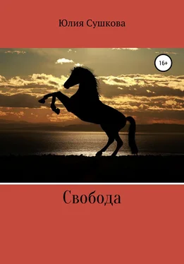 Юлия Сушкова Свобода обложка книги