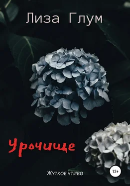 Лиза Глум Урочище обложка книги