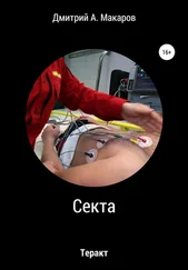 Дмитрий Макаров - Секта. Теракт