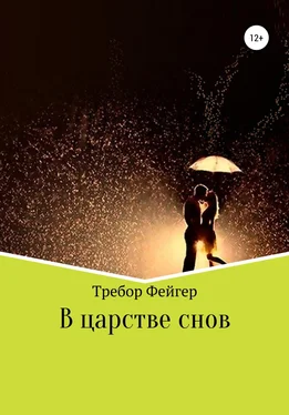 Требор Фейгер В царстве снов обложка книги