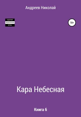 Николай Андреев Кара небесная. Книга 6 обложка книги