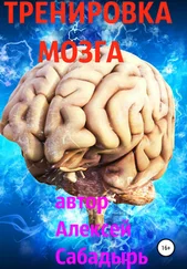 Алексей Сабадырь - Тренировка мозга