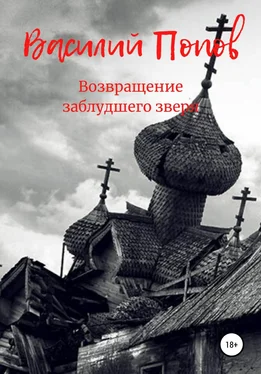 Василий Попов Возвращение заблудшего зверя обложка книги