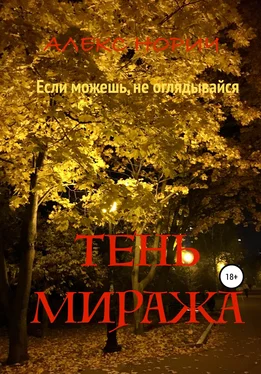 Алекс Норич Tень миража обложка книги