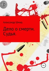 Александр Шмид - Дело о смерти. Судья