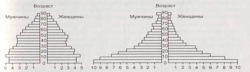 Рис 1 Половозрастная пирамида Половозрастные пирамиды стран первого и - фото 6