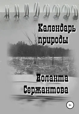 Иоланта Сержантова Календарь природы обложка книги