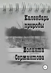 Иоланта Сержантова - Календарь природы