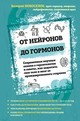 Валерий Новоселов - От нейронов до гормонов. Современные научные знания о геронтологии и советы, как защитить свое тело и мозг от преждевременного старения