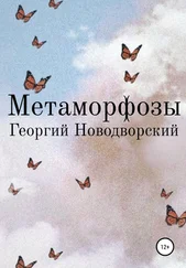 Георгий Новодворский - Метаморфозы