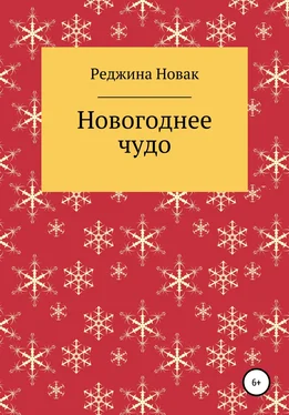 Реджина Новак Новогоднее чудо обложка книги