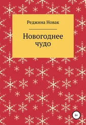 Реджина Новак - Новогоднее чудо