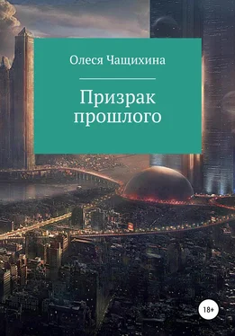 Олеся Чащихина Призрак прошлого обложка книги