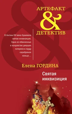 Елена Гордина Святая инквизиция обложка книги