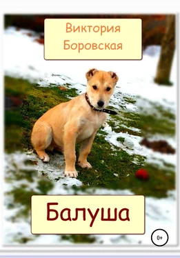 Виктория Бoровская Балуша обложка книги