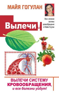 Майя Гогулан Вылечи! Систему кровообращения, и все болезни уйдут обложка книги