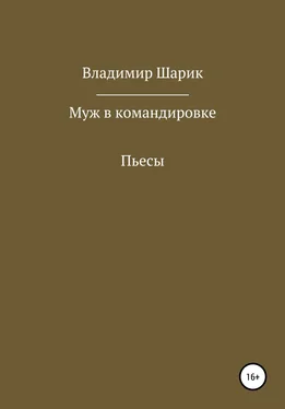 Владимир Шарик Муж в командировке. Пьесы обложка книги