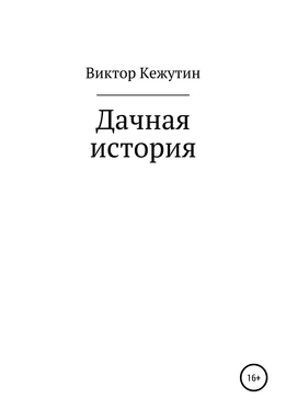 Виктор Кежутин Дачная история обложка книги