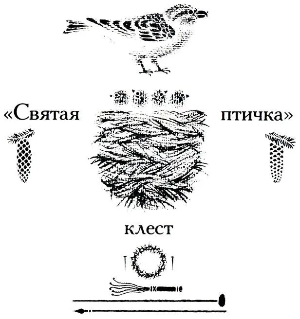 Во многих странах Европы существует легенда о божественной святой птичке В - фото 43