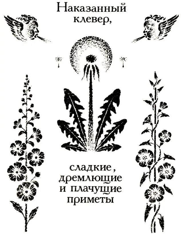 Клевер растение знаменитое И не только тем что он прекрасный корм для - фото 62
