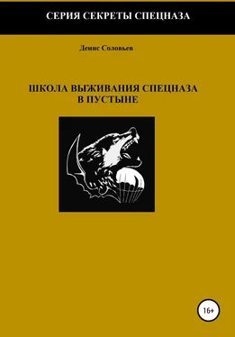 Денис Соловьев Школа выживания спецназа в пустыне обложка книги