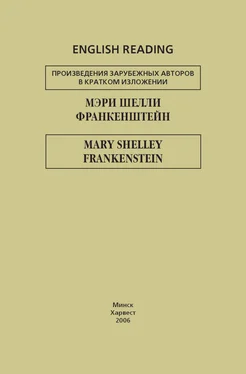 Mary Shelley Франкенштейн / Frankenstein обложка книги