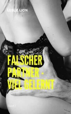 Leslie Lion Falscher Partner - viel gelernt - Band 1 обложка книги