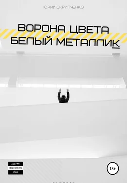 Юрий Скрипченко Ворона цвета белый металлик обложка книги