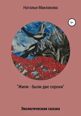 Наталья Маклакова Жили-были две сороки обложка книги