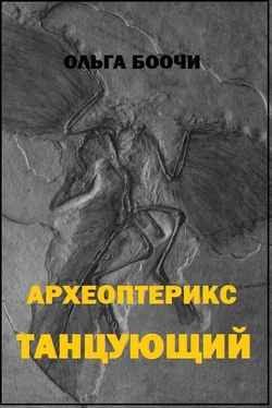 Ольга Боочи Археоптерикс танцующий обложка книги