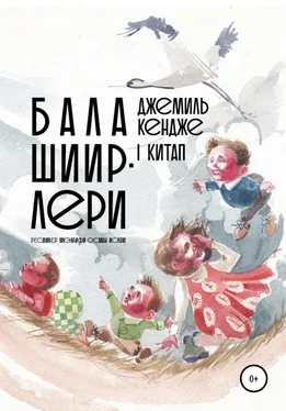 Джемиль КЕНДЖЕ Бала шиирлери. I китап обложка книги