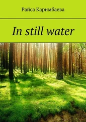 Райса Каримбаева - In still water